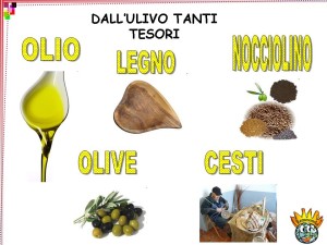 OLIO Damia